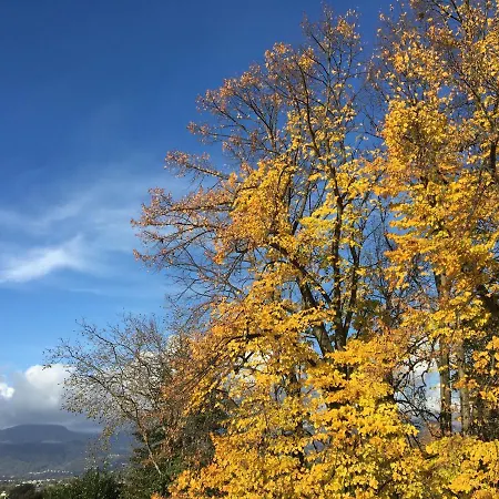 The Casa Blu Dependance La Casa Gialla Casa de hóspedes 3*