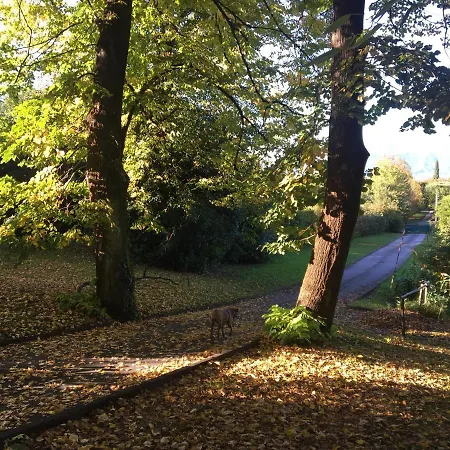 The Casa Blu Dependance La Casa Gialla 3*