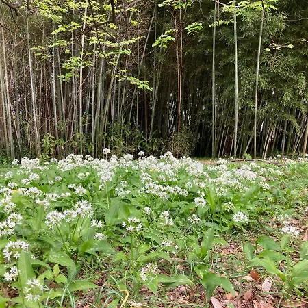 The Casa Blu Dependance La Casa Gialla